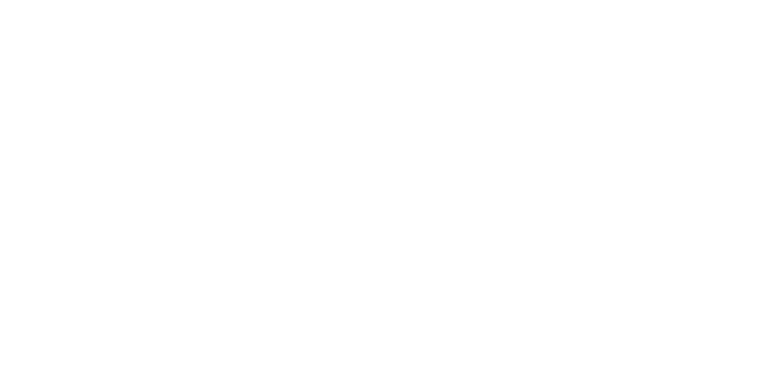 Yle Areena icon