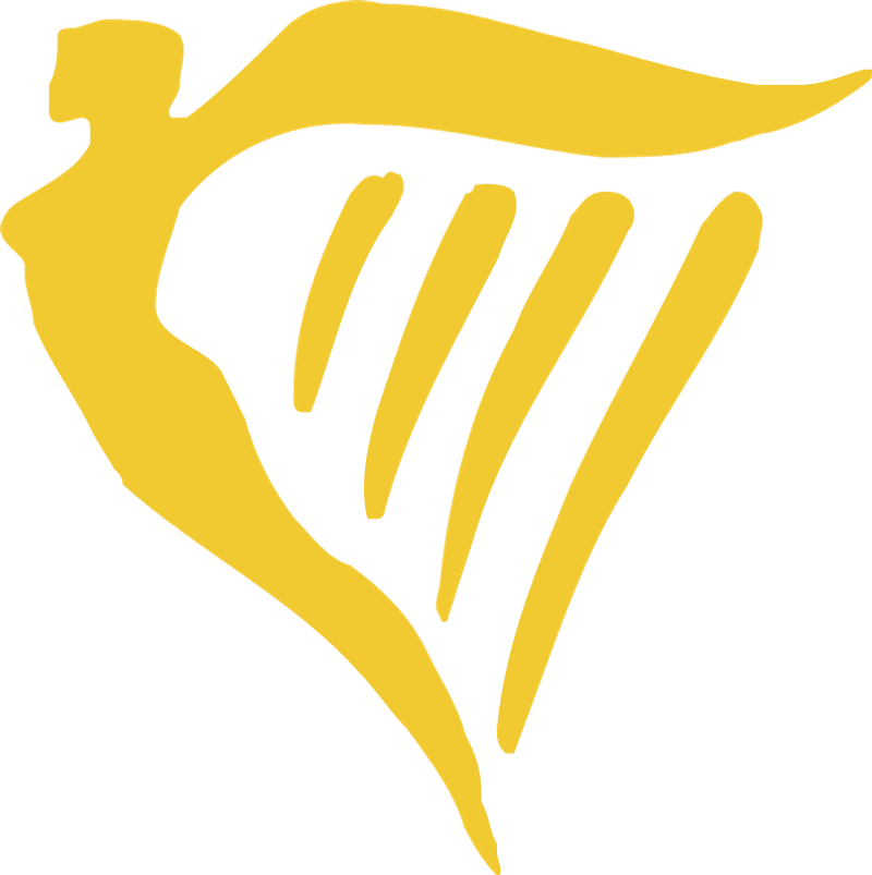 Ryanair.com icon