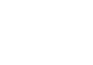 Google.cl icon