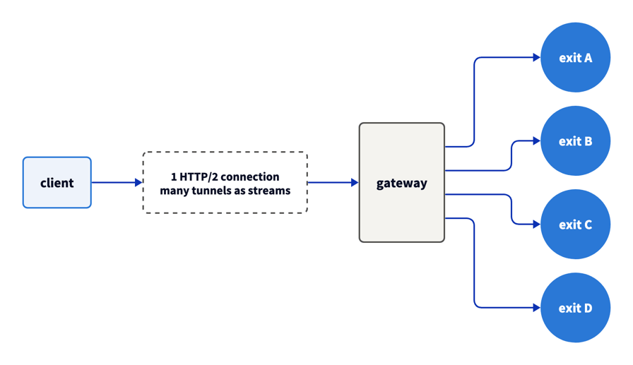 Diagram of a client opening 1 HTTP/2 connection that carries many tunnels as streams to the gateway, which sends the streams to 4 different exit IPs, A to D