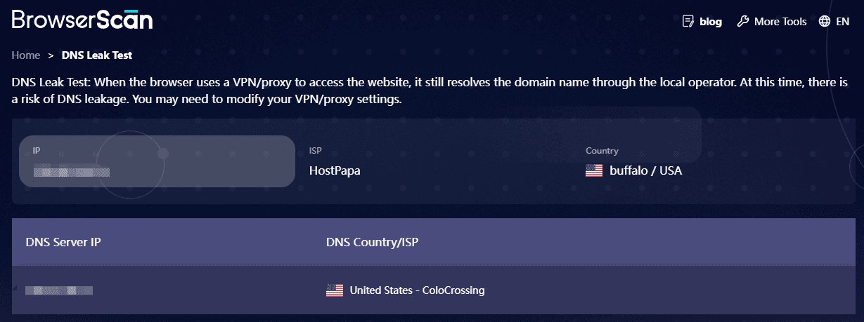 Browserscan DNS / Country check