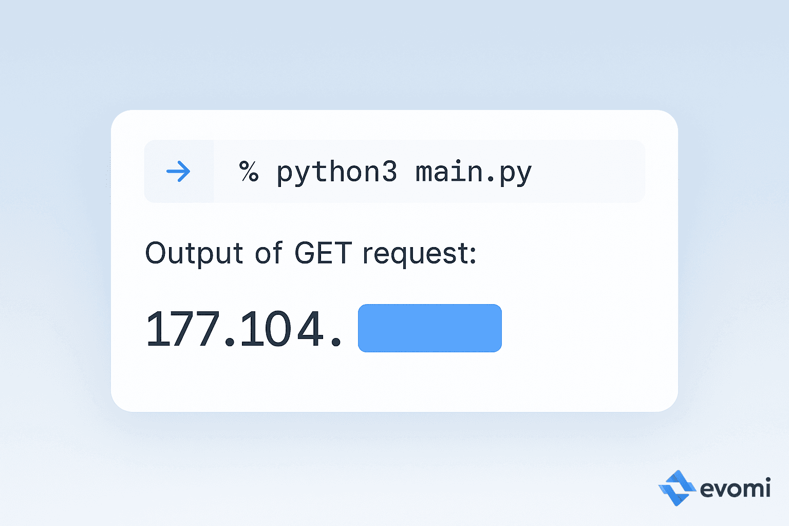 Terminal output showing IP address from script execution